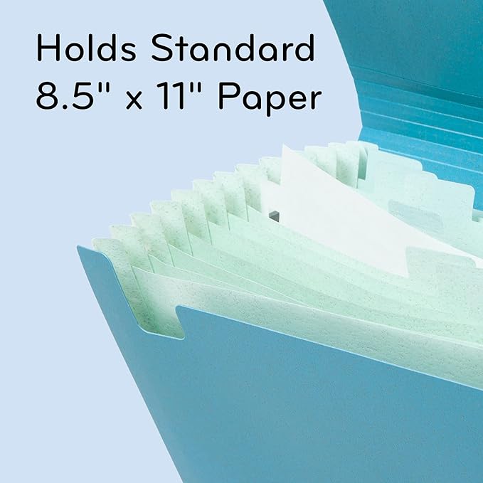 U Brands 13-Pocket Accordion File Organizer, Letter Size, Expandable File Folder Folder (U-Eco)
