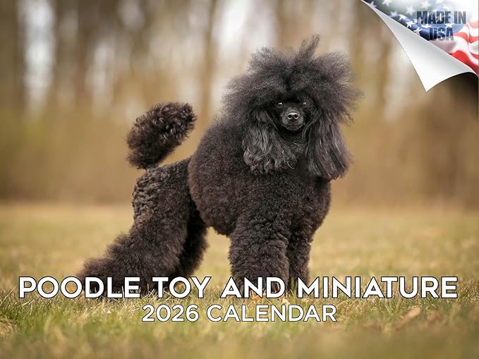2025 2026 Poodle Toy and Miniature Calendar - Dog Breed Monthly Wall Calendar - 12" x 18" Open - Thick No-Bleed Paper - Giftable - Academic Teacher's Planner Calendar Organizing & Planning - Made in USA
