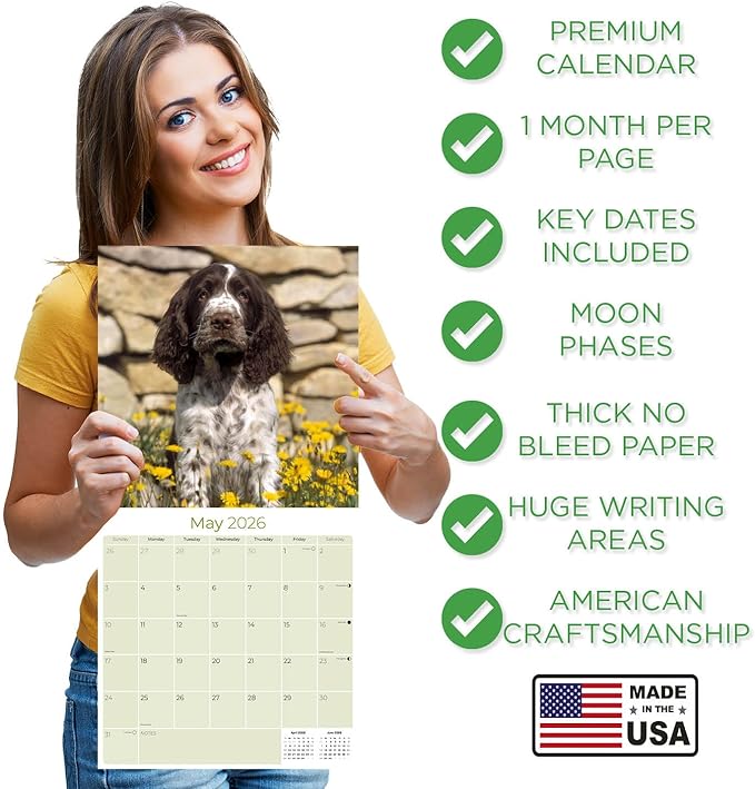English Springer EU Calendar 2026 by MegaCalendars – Monthly Dog Breed Wall Calendar, Made in USA