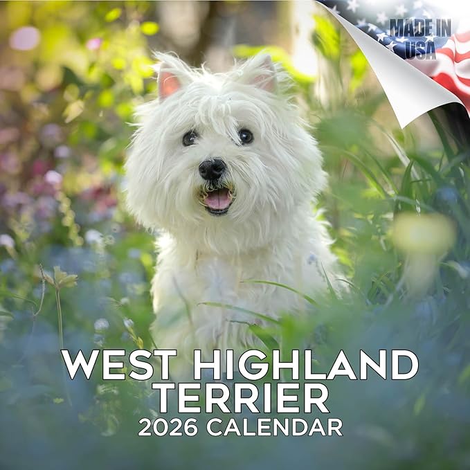 West Highland Terrier Calendar 2026 by MegaCalendars – Monthly Dog Breed Wall Calendar, Made in USA