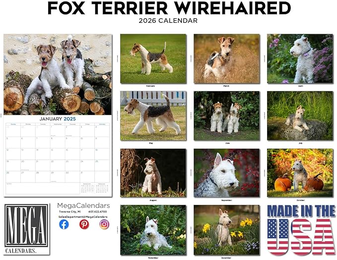 2025 2026 Fox Terrier Wirehaired Calendar - Dog Breed Monthly Wall Calendar - 12" x 18" Open - Thick No-Bleed Paper - Giftable - Academic Teacher's Planner Calendar Organizing & Planning - Made in USA