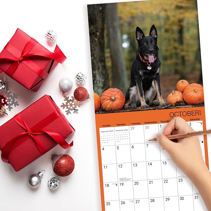 2026 Wall Calendar,GERMAN SHEPHERD Wall Calendar, 12" x 24" Open,Family Planner Calendar Organizer with GERMAN SHEPHERD Images, for Dogs Lovers