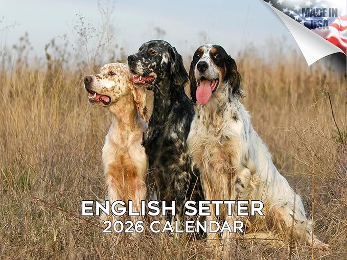 2025 2026 English Setter Calendar - Dog Breed Monthly Wall Calendar - 12" x 18" Open - Thick No-Bleed Paper - Giftable - Academic Teacher's Planner Calendar Organizing & Planning - Made in USA