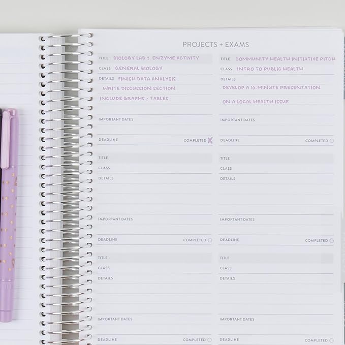7x9 Coiled Academic Planner (January 2026 - December 2026) - Journey cover, Pastel Minimal theme, platinum coil