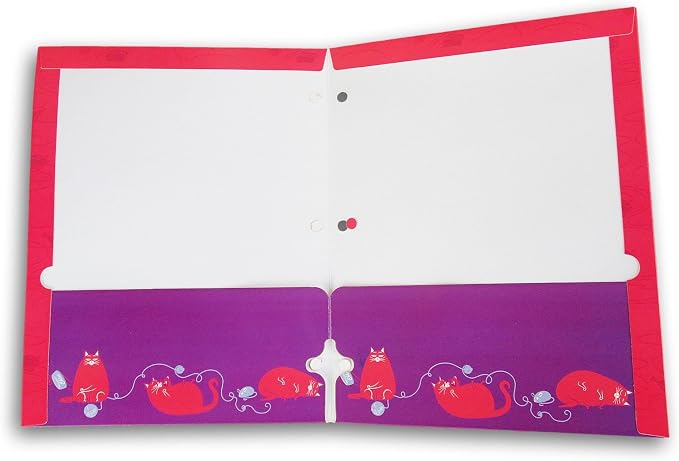 Character Folder for Back to School - 3-Hole 2-Pocket Portfolio Folders (Life of Pets Don't Care)