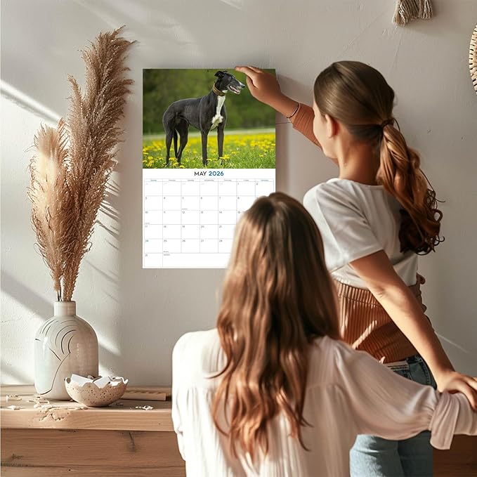 2025 2026 Greyhound Calendar - Dog Breed Monthly Wall Calendar - 12" x 18" Open - Thick No-Bleed Paper - Giftable - Academic Teacher's Planner Calendar Organizing & Planning - Made in USA
