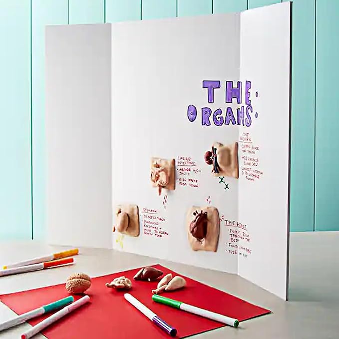 Rsgift 4 Pcs Tri-fold Poster Boards 48 x 36 inches, Premium Corrugated Presentation Boards with Double Sided Tapes,Display Boards for School Project,Exhibitions, Business Presentation