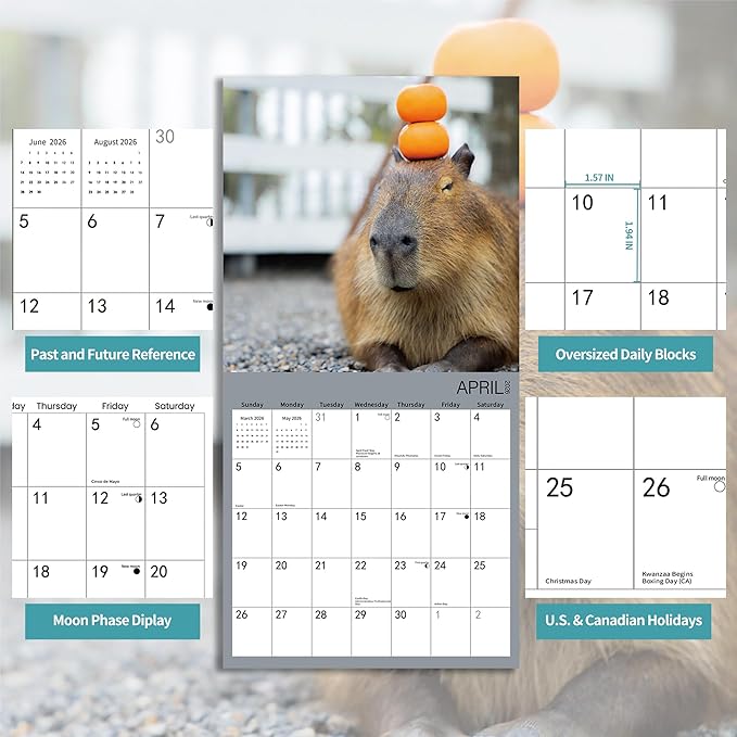2026 Wall Calendar,Capybara Calendar 2026, Monthly Wall Calendar, 12" x 24" Open,Family Planner Calendar Organizer with funny capybara Images