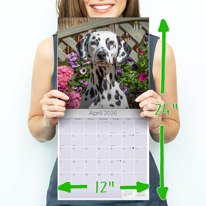 Dalmatian Calendar 2026 by MegaCalendars – Monthly Dog Breed Wall Calendar, Made in USA