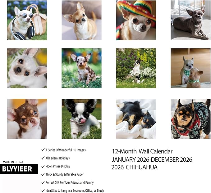 2026 Wall Calendar,Chihuahua Wall Calendar, 12" x 24" Open,Family Planner Calendar Organizer with Chihuahua Images, for Dogs Lovers