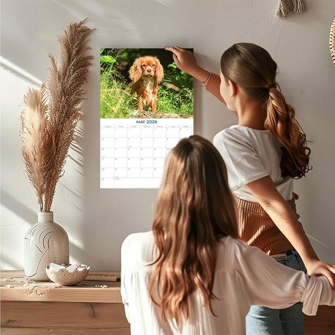 2025 2026 Cavalier King Charles Calendar - Dog Breed Monthly Wall Calendar - 12" x 18" Open - Thick No-Bleed Paper - Giftable - Academic Teacher's Planner Calendar Organizing & Planning - Made in USA