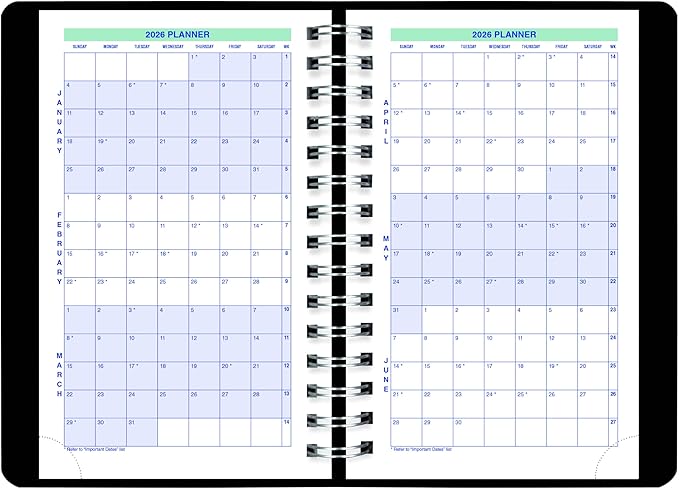 Blueline® 2026 Plan & Link™ Essential Daily Planner, Appointment Book, 12 Months, January to December, 8" x 5", Black (C1504W.81-26)