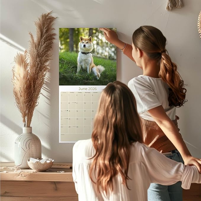 Shiba Inu Calendar 2026 by MegaCalendars – Monthly Dog Breed Wall Calendar, Made in USA