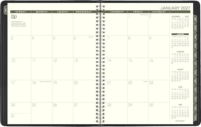 AT-A-GLANCE 2027 Appointment Book Planner, Weekly & Monthly, 8.25" x 11", Quarter-Hourly, Recycled, Black (70950G0527)