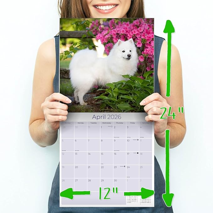 American Eskimo Calendar 2026 – 16-Month Dog Breed Wall Calendar by MegaCalendars – Large Daily Blocks, Thick No-Bleed Paper, Made in USA
