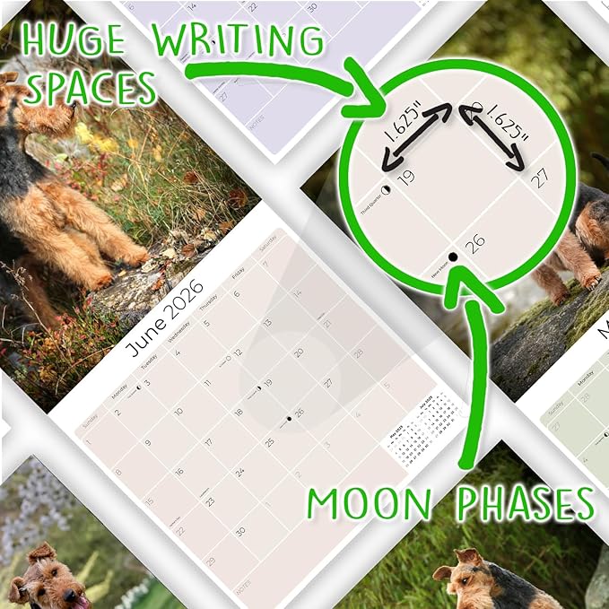 2025 2026 Welsh Terrier Calendar - Dog Breed Monthly Wall Calendar - 12" x 24" Open - Thick No-Bleed Paper - Giftable - Academic Teacher's Planner Calendar Organizing & Planning