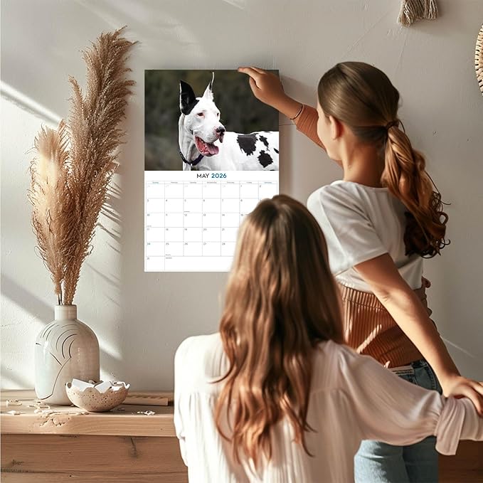 2025 2026 Great Dane Calendar - Dog Breed Monthly Wall Calendar - 12" x 18" Open - Thick No-Bleed Paper - Giftable - Academic Teacher's Planner Calendar Organizing & Planning - Made in USA