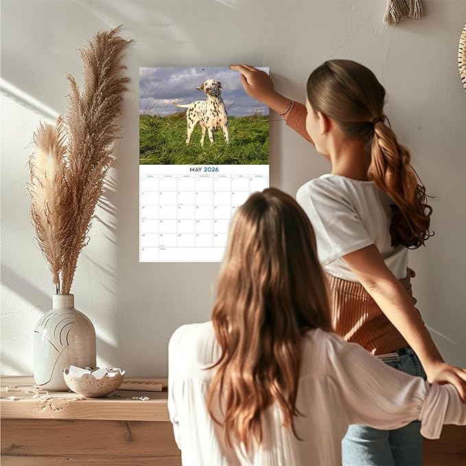 2025 2026 Dalmatian Calendar - Dog Breed Monthly Wall Calendar - 12" x 18" Open - Thick No-Bleed Paper - Giftable - Academic Teacher's Planner Calendar Organizing & Planning - Made in USA
