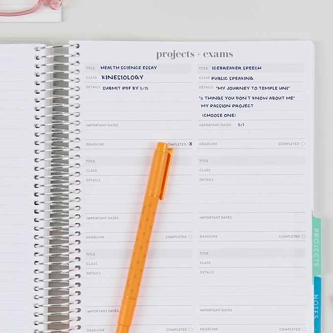 7x9 Coiled Academic Planner (January 2026 - December 2026) - Fruity Cherry cover, Journey theme, platinum coil