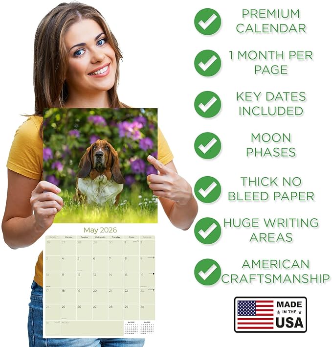 Basset Hound Calendar 2026 – 16-Month Dog Breed Wall Calendar by MegaCalendars – Large Daily Blocks, Thick No-Bleed Paper, Made in USA