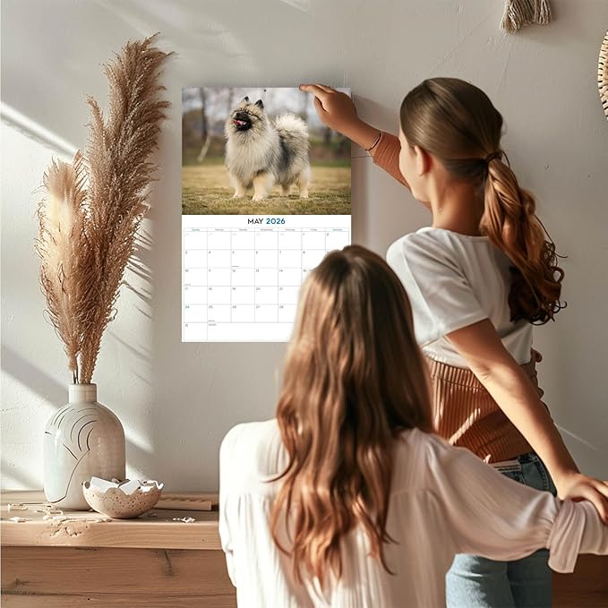 2025 2026 Keeshond Calendar - Dog Breed Monthly Wall Calendar - 12" x 18" Open - Thick No-Bleed Paper - Giftable - Academic Teacher's Planner Calendar Organizing & Planning - Made in USA