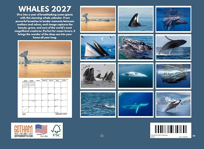 Whale Calendar 2027 Monthly Wall Calender 12 Month