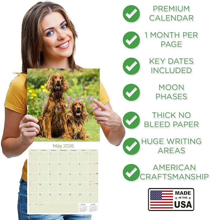 Irish Setter Calendar 2026 by MegaCalendars – Monthly Dog Breed Wall Calendar, Made in USA