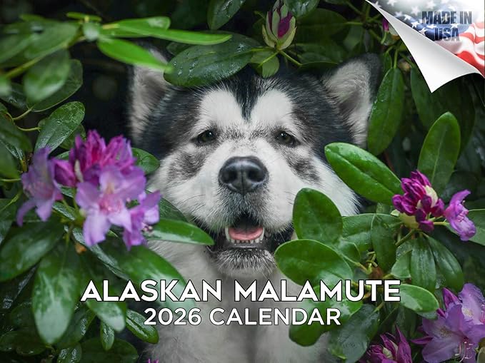 2025 2026 Alaskan Malamute Calendar - Dog Breed Monthly Wall Calendar - 12" x 18" Open - Thick No-Bleed Paper - Giftable - Academic Teacher's Planner Calendar Organizing & Planning - Made in USA