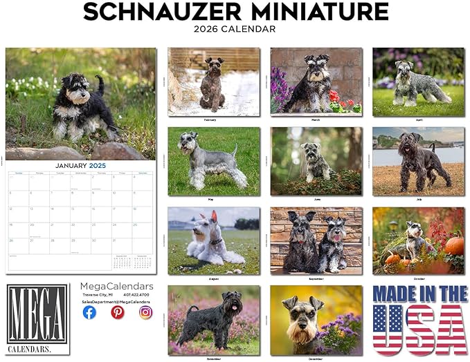 2025 2026 Miniature Schnauzer Calendar - Dog Breed Monthly Wall Calendar - 12" x 18" Open - Thick No-Bleed Paper - Giftable - Academic Teacher's Planner Calendar Organizing & Planning