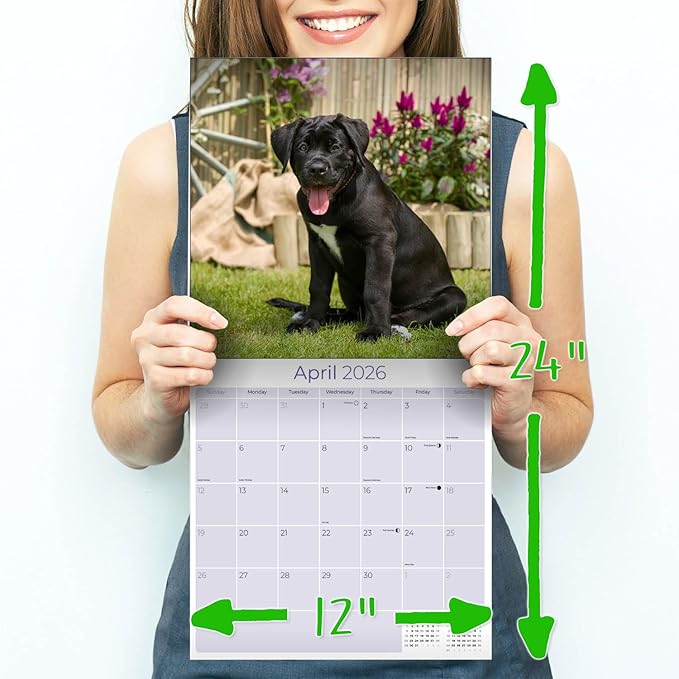 American Staffordshire Terrier Calendar 2026 by MegaCalendars – Monthly Dog Breed Wall Calendar, Made in USA