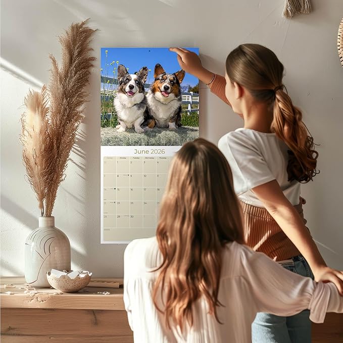 Corgi Calendar 2026 by MegaCalendars – Monthly Dog Breed Wall Calendar, Made in USA