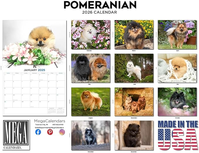 2025 2026 Pomeranian Calendar - Dog Breed Monthly Wall Calendar - 12" x 18" Open - Thick No-Bleed Paper - Giftable - Academic Teacher's Planner Calendar Organizing & Planning - Made in USA