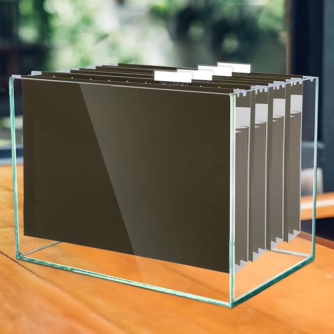 Dispowreath 10 Pack Extra Capacity Hanging File Folders Letter Size with Tabs Reinforced Hanging Folders Expandable, Heavy Duty 3.5 Inch Expansion Designed for Bulky Files Medical Charts