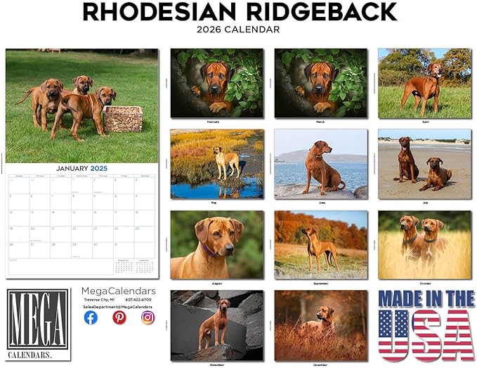 2025 2026 Rhodesian Ridgeback Calendar - Dog Breed Monthly Wall Calendar - 12" x 18" Open - Thick No-Bleed Paper - Giftable - Academic Teacher's Planner Calendar Organizing & Planning