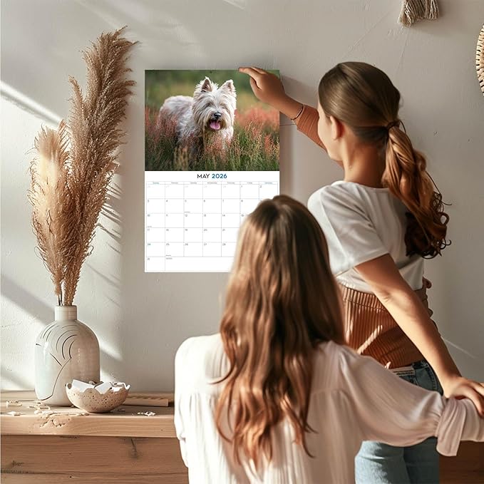 2025 2026 Cairn Terrier Calendar - Dog Breed Monthly Wall Calendar - 12" x 18" Open - Thick No-Bleed Paper - Giftable - Academic Teacher's Planner Calendar Organizing & Planning - Made in USA