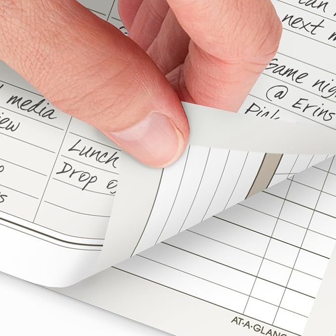 AT-A-GLANCE 2026 Planner, Daily & Monthly, 5-1/2" x 8-1/2", Desk Size 4, Two Page Per Day Refill, Loose-Leaf (481-225A-26)
