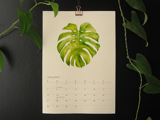 Tropical Plant Art - 2026 Botanical Watercolor Wall Calendar, Foliage Painting Planner, Christmas Gift for Plant Lover, A4 21 x 29.7 cm (2)