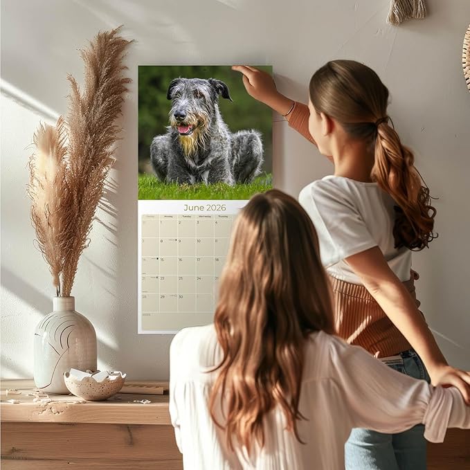 Irish Wolfhound Calendar 2026 by MegaCalendars – Monthly Dog Breed Wall Calendar, Made in USA