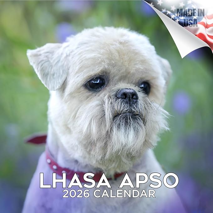 2025 2026 Lhasa Apso Calendar - Dog Breed Monthly Wall Calendar - 12" x 24" Open - Thick No-Bleed Paper - Giftable - Academic Teacher's Planner Calendar Organizing & Planning - Made in USA