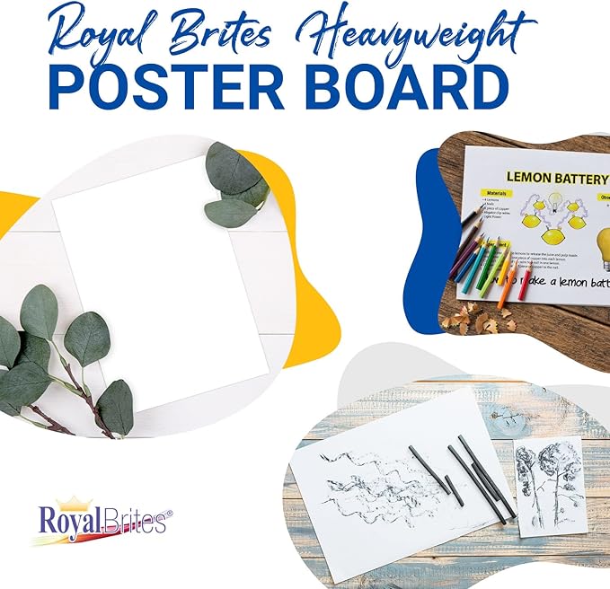 White Heavyweight Poster Board, 2-Sided 22x28 for School Projects, Arts & Crafts, Water & Fade Resistant Posterboard for Signs & Presentations, 24 Count
