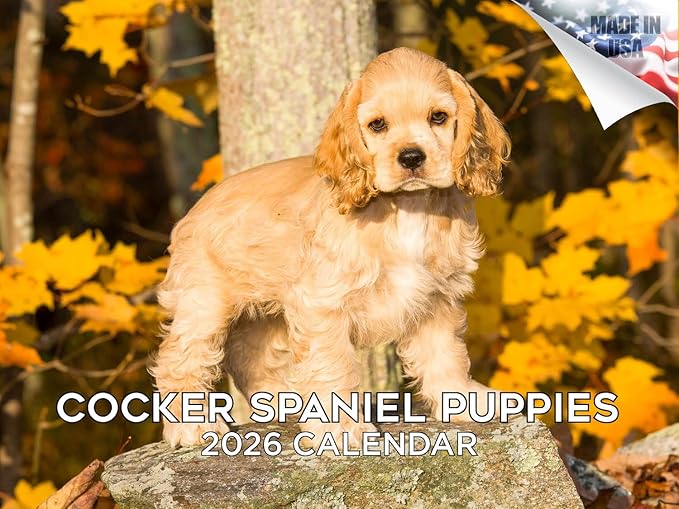 2025 2026 Cocker Spaniel Pups Calendar - Dog Breed Monthly Wall Calendar - 12" x 18" Open - Thick No-Bleed Paper - Giftable - Academic Teacher's Planner Calendar Organizing & Planning - Made in USA