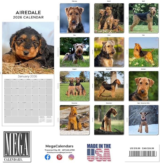 Airedale Calendar 2026 by MegaCalendars – Monthly Dog Breed Wall Calendar, Made in USA