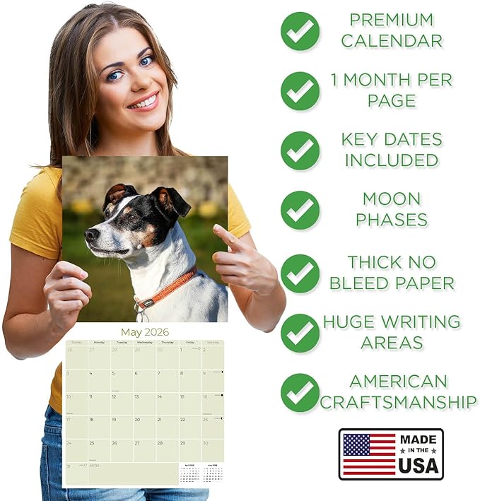 Rat Terrier Calendar 2026 by MegaCalendars – Monthly Dog Breed Wall Calendar, Made in USA