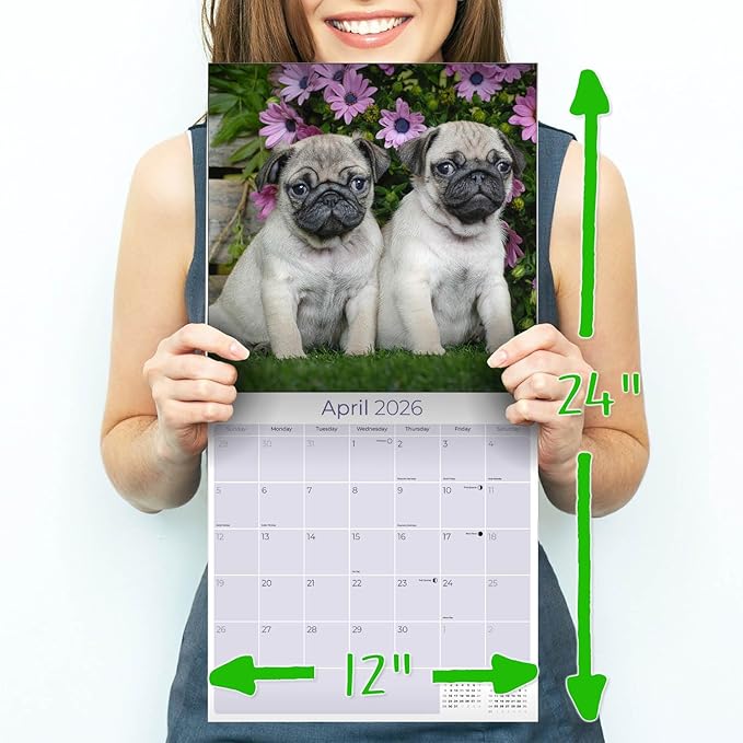 Pug Calendar 2026 by MegaCalendars – Monthly Dog Breed Wall Calendar, Made in USA