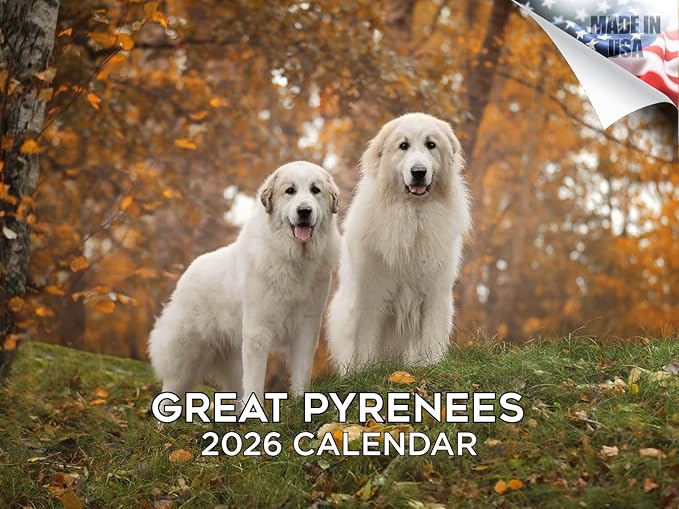 2025 2026 Great Pyrenese Calendar - Dog Breed Monthly Wall Calendar - 12" x 18" Open - Thick No-Bleed Paper - Giftable - Academic Teacher's Planner Calendar Organizing & Planning - Made in USA