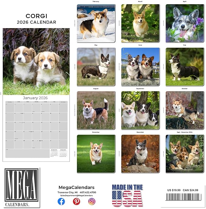 Corgi Calendar 2026 by MegaCalendars – Monthly Dog Breed Wall Calendar, Made in USA