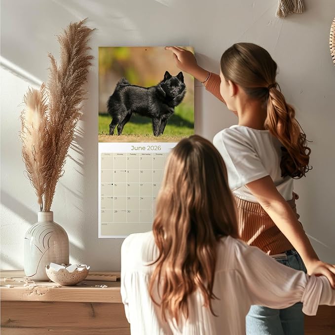 Schipperke Calendar 2026 by MegaCalendars – Monthly Dog Breed Wall Calendar, Made in USA