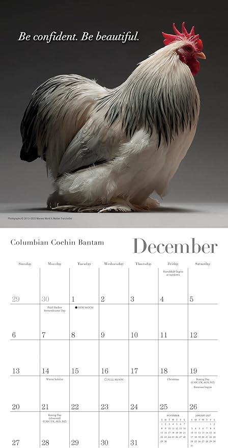 Glamour Chicks 2026 Mini Wall Calendar: Funny Chicken Photography & Farm Animal Art with Glamorous Portraits, 7" × 7"