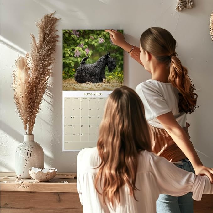 Scottish Terrier Calendar 2026 by MegaCalendars – Monthly Dog Breed Wall Calendar, Made in USA