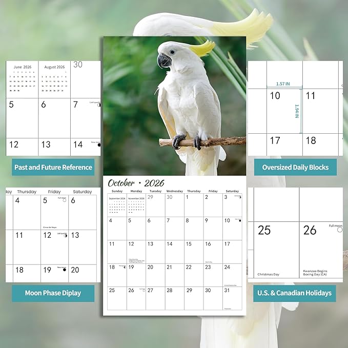 2026 Wall Calendar,Cockatoo Calendar 2026,OWL Monthly Wall Calendar, 12" x 24" Open,Family Planner Calendar, Home & Office Organizer,Hangable